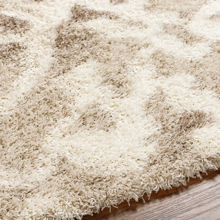 Surya usg paula 2323 beige Beige Living Room Geometric Rug.