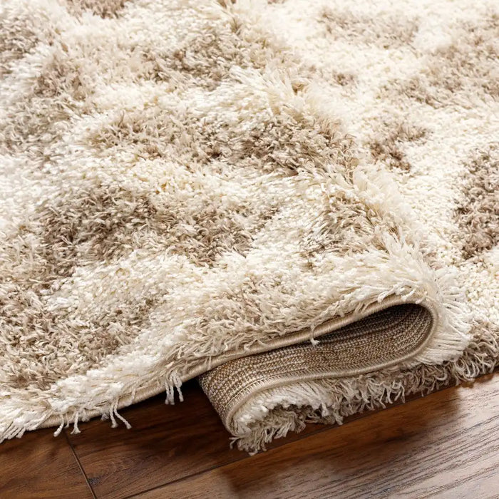 Surya usg paula 2323 beige Beige Living Room Geometric Rug.