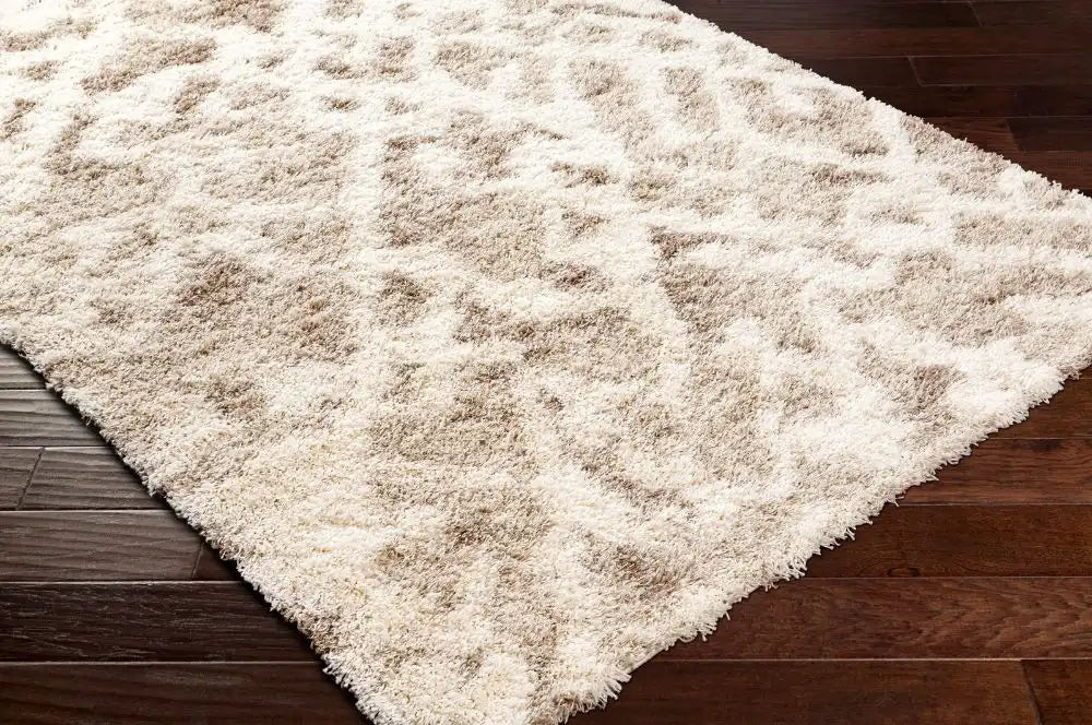 Surya usg paula 2323 beige Beige Living Room Geometric Rug.