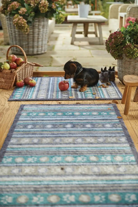 Hug Rug hug rug pet pet 80 Blue, Multicoloured Kitchen  Doormat Rug.