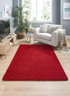 My Mats buddy red Red Living Room Shaggy Rug.