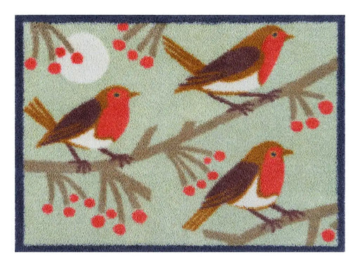 Turtle Mat turtle designs red robin Green, Multicoloured, Red Kitchen  Washable Rug.