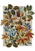 Sanderson sanderson robins wood russet brown 146501 Multicoloured Living Room Wool Rug.