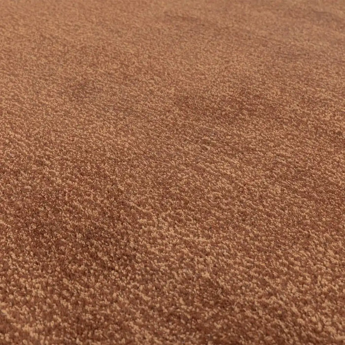 Asiatic rise rust Orange Living Room Wool Rug.