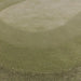 Asiatic halo sage Green Living Room Wool Rug.
