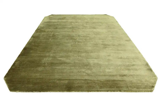 Asiatic gleam sage Green Living Room  Rug.
