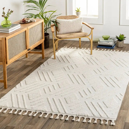 Surya noa selene 2306 beige Beige Living Room  Rug.