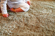 Origins my lux stone Beige Living Room  Rug.