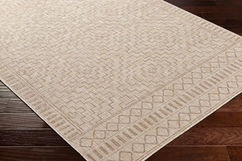 Surya trg tricia 2354 camel Beige Outdoor  Flat Weave Rug.