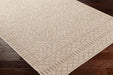 Surya trg tricia 2354 camel Beige Outdoor  Flat Weave Rug.