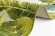 Hanse Home flair tropical birds Green, Multicoloured Living Room Floral Rug.