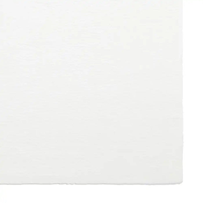 Think Rugs snug white Ivory Living Room Shaggy Rug.