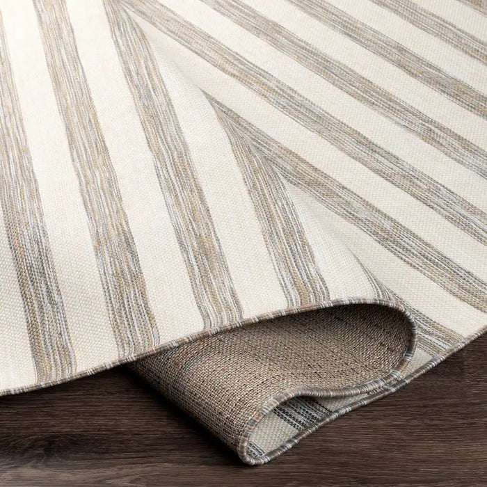 Surya psa zaki 2381 brown Brown, Ivory Living Room  Rug.