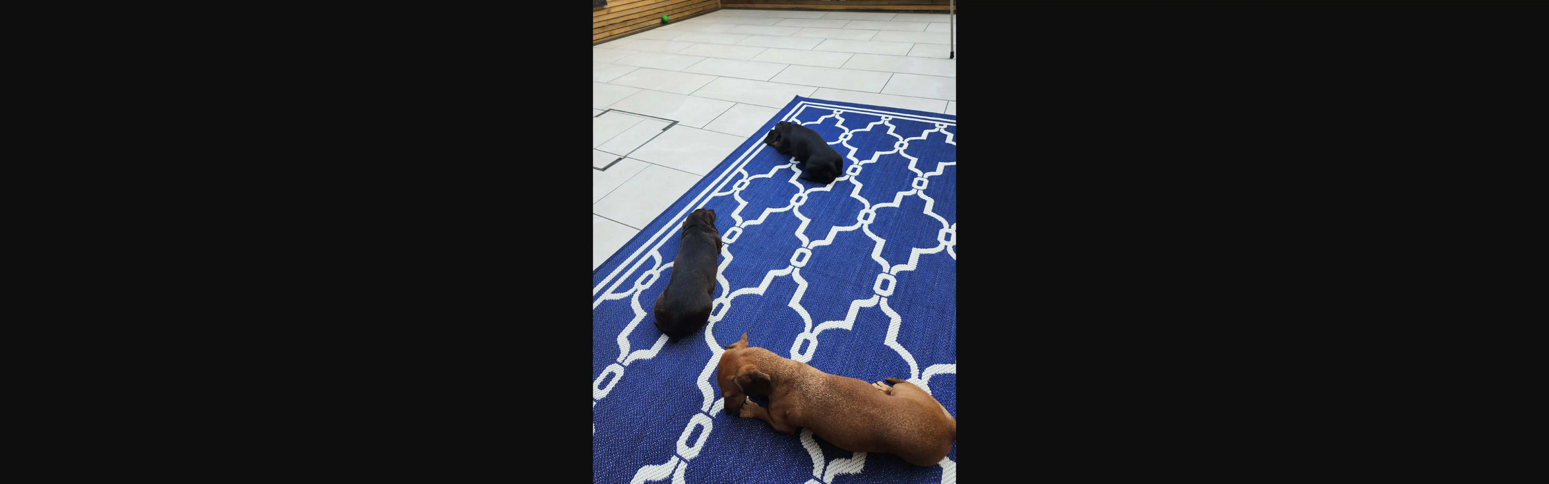 Photo by Martin M, | Rug Style terrace outdoor spanish tile blue Living Room Geometric Rug.