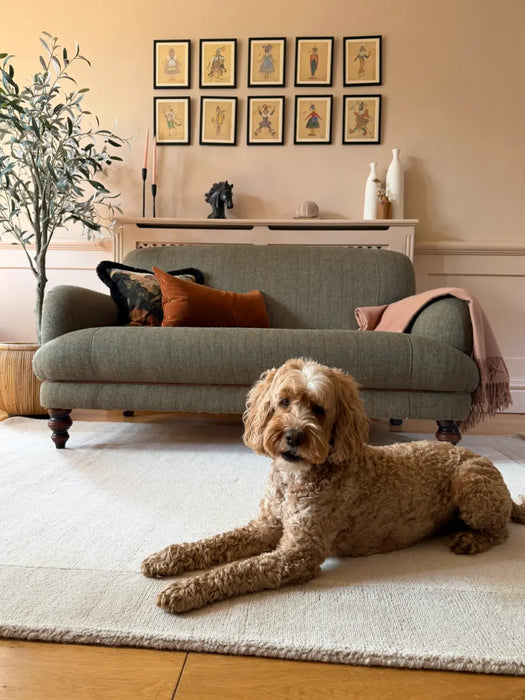 Photo by @thegarthhome|Dog lying on a rug in a living room with a couch and decorative items.