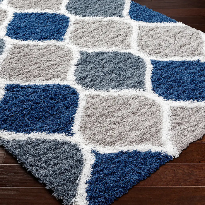 Judy Shaggy Cottage Plush Pile Light Grey Rug