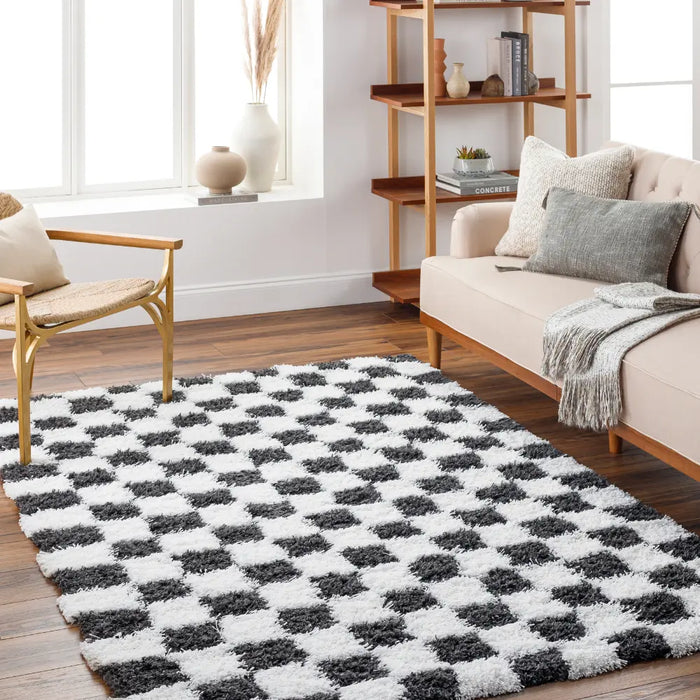 Willa Shaggy Modern Plush Pile Black Checkered Rug