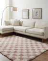 Willa Shaggy Modern Plush Pile Dusty Pink Checkered Rug