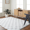 Willa Shaggy Modern Plush Pile Light Grey Checkered Rug