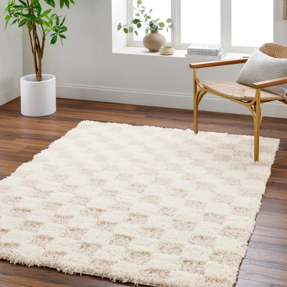 Willa Shaggy Modern Plush Pile Light Beige Checkered Rug Beige Rug ...