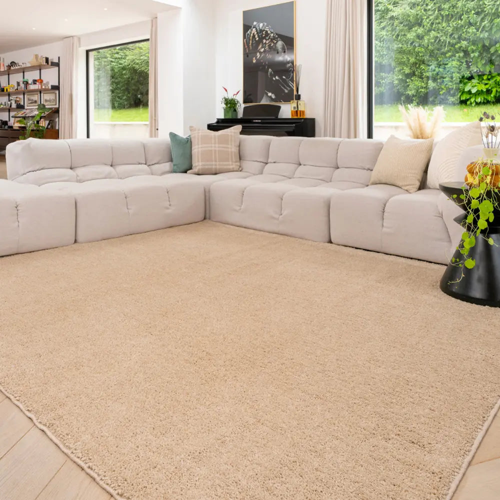K Washable Shaggy Sand Shell Beige Rug — RugsDirect Online