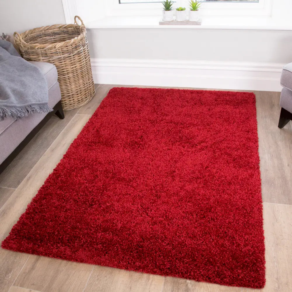 Vancouver Wine Red Rug — RugsDirect Online